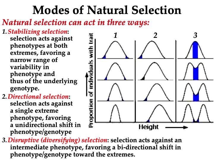 Topic Evolution And Natural Selection