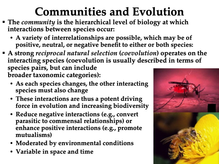 Topic Evolution And Ecology Notes