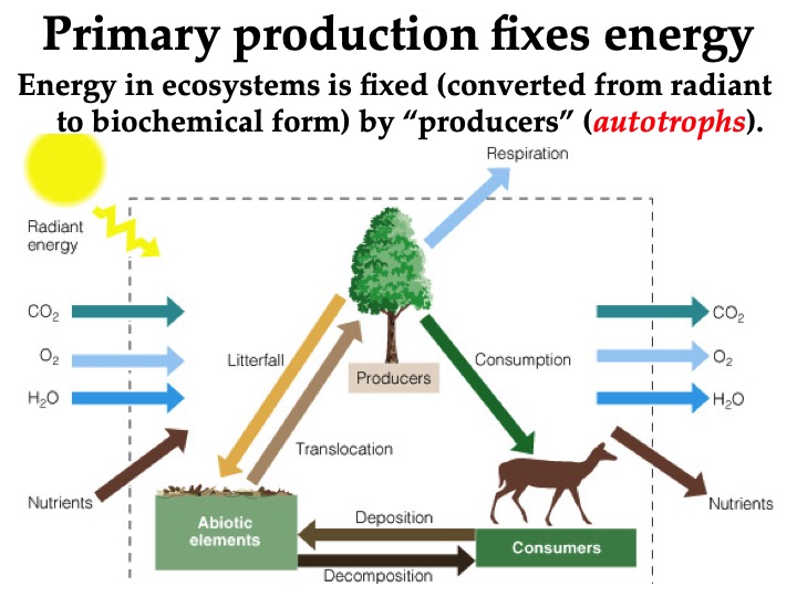 Topic Primary Productivity