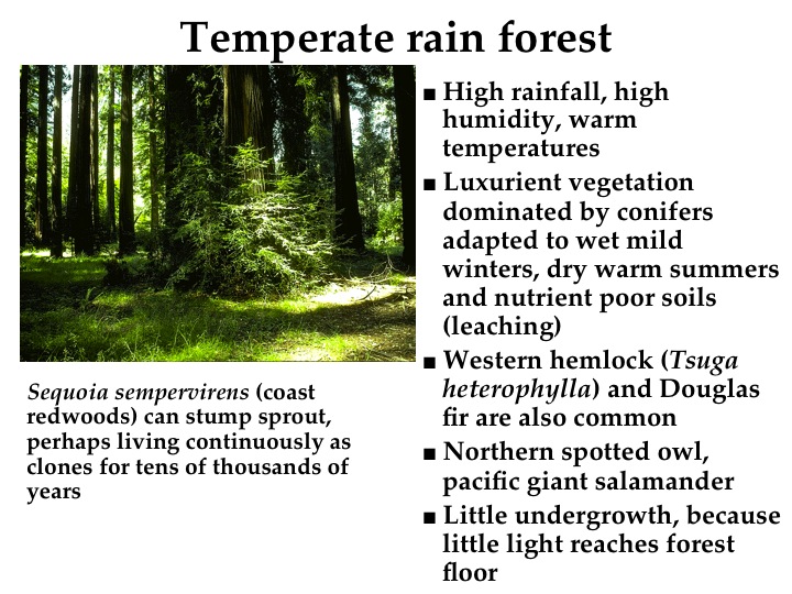 Topic 11 Terrestrial Ecosystems