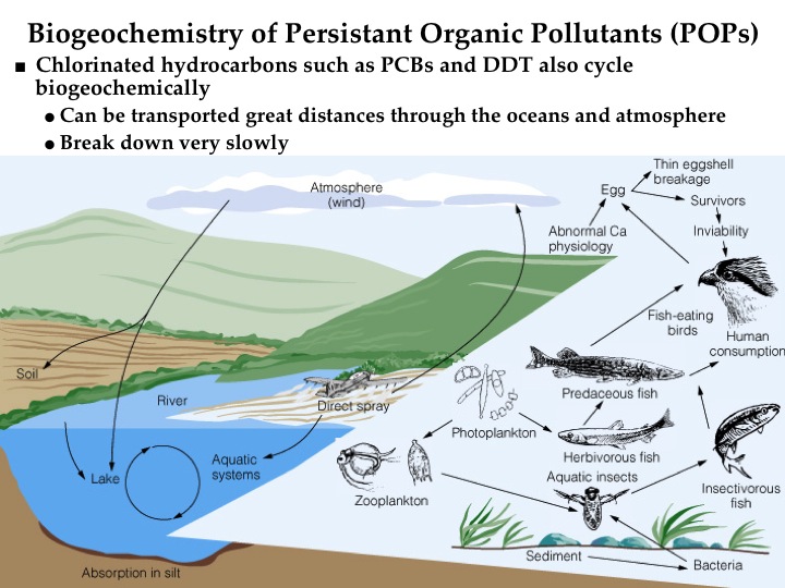 Biogeochemistry